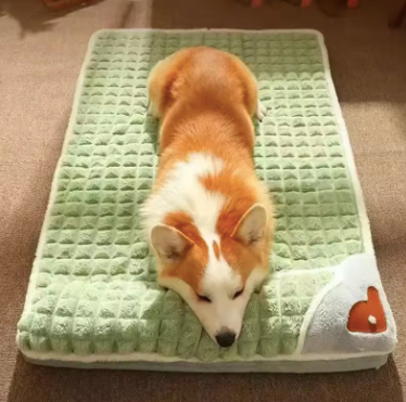 Lit orthopédique à mémoire de forme pour chien – BonheurCanin